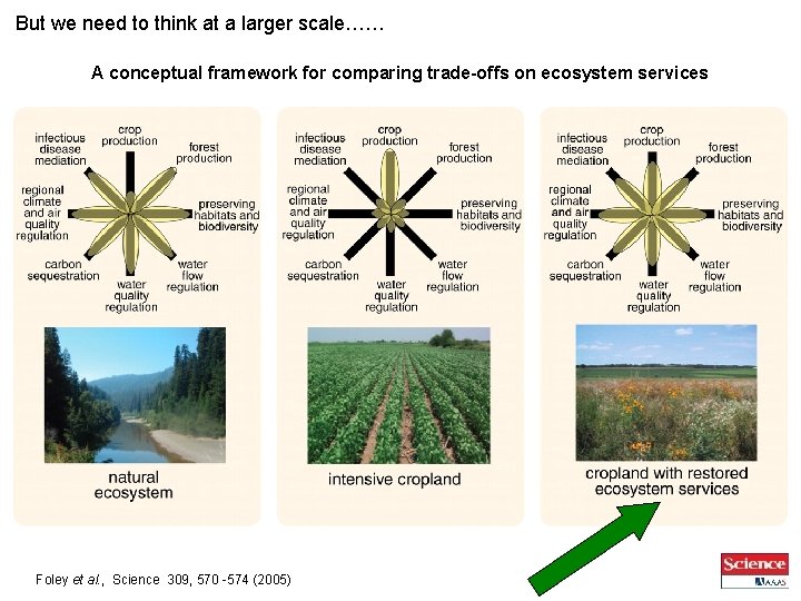 But we need to think at a larger scale…… A conceptual framework for comparing