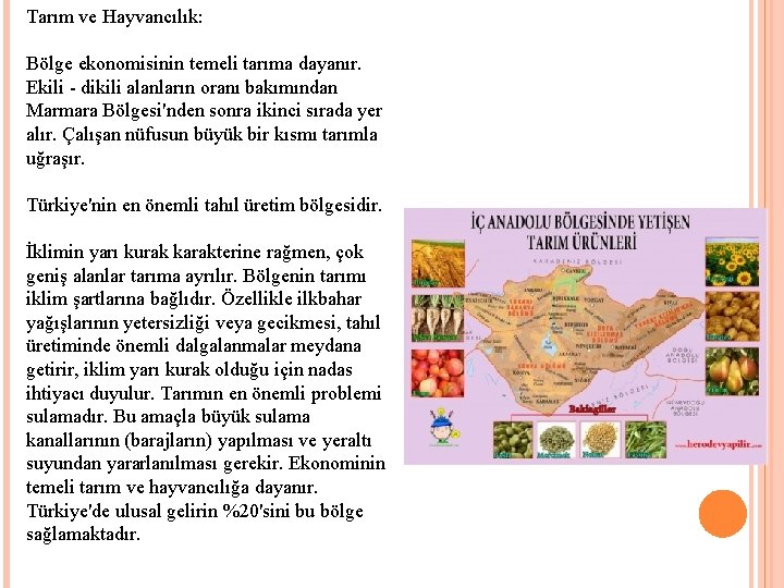 Tarım ve Hayvancılık: Bölge ekonomisinin temeli tarıma dayanır. Ekili dikili alanların oranı bakımından Marmara