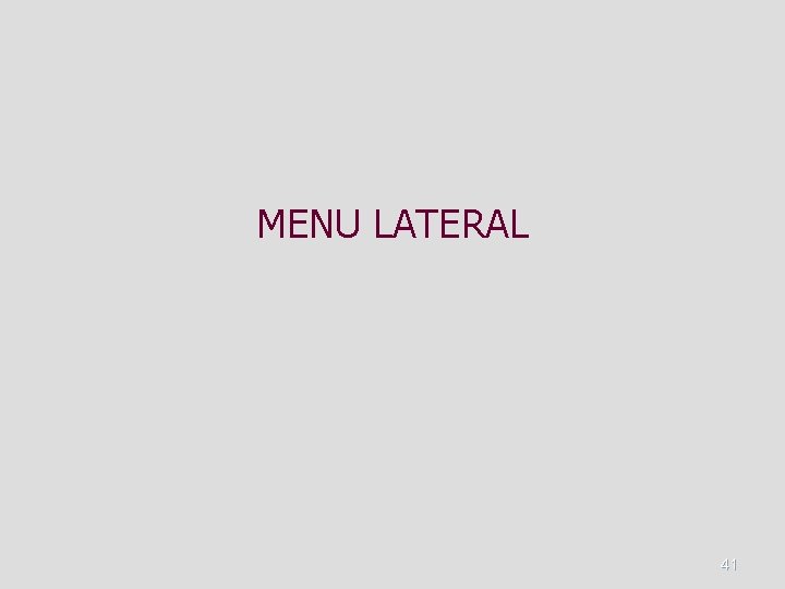 MENU LATERAL 41 