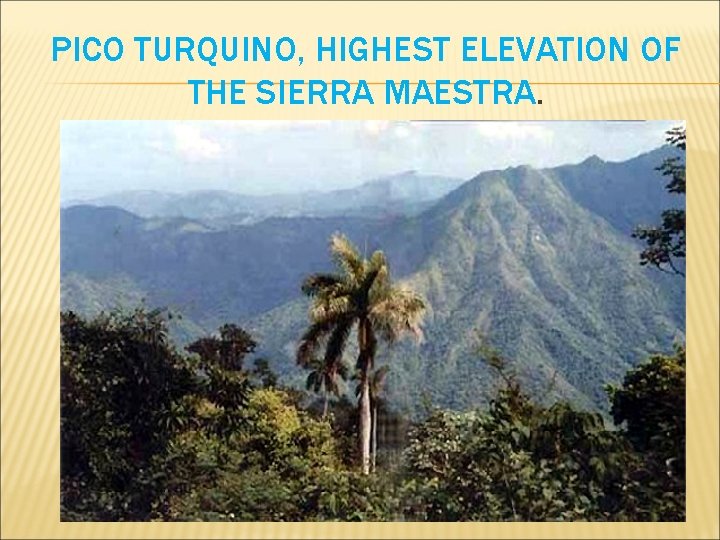 PICO TURQUINO, HIGHEST ELEVATION OF THE SIERRA MAESTRA. 