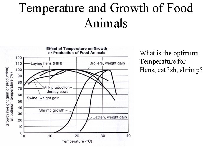 Temperature and Growth of Food Animals What is the optimum Temperature for Hens, catfish,