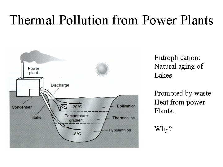 Thermal Pollution from Power Plants Eutrophication: Natural aging of Lakes Promoted by waste Heat