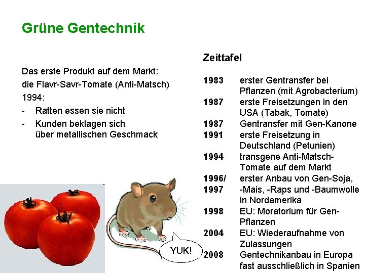 Grüne Gentechnik Zeittafel Das erste Produkt auf dem Markt: die Flavr-Savr-Tomate (Anti-Matsch) 1994: -