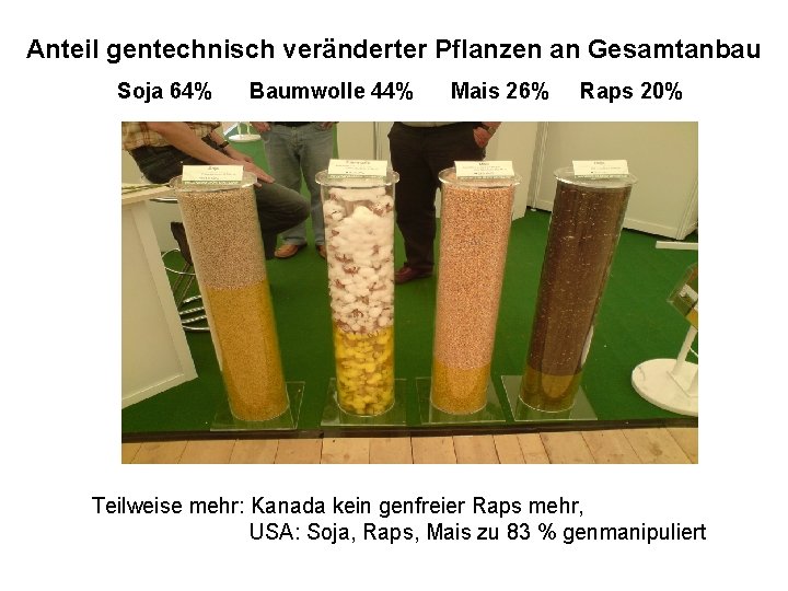 Anteil gentechnisch veränderter Pflanzen an Gesamtanbau Soja 64% Baumwolle 44% Mais 26% Raps 20%