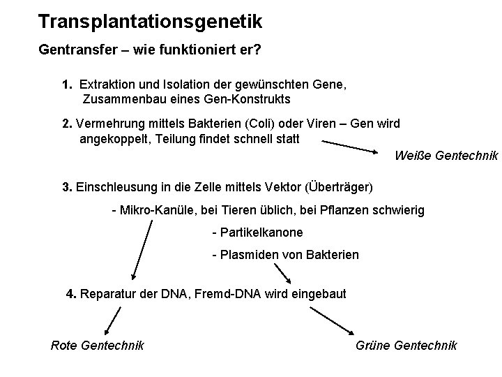 Transplantationsgenetik Gentransfer – wie funktioniert er? 1. Extraktion und Isolation der gewünschten Gene, Zusammenbau