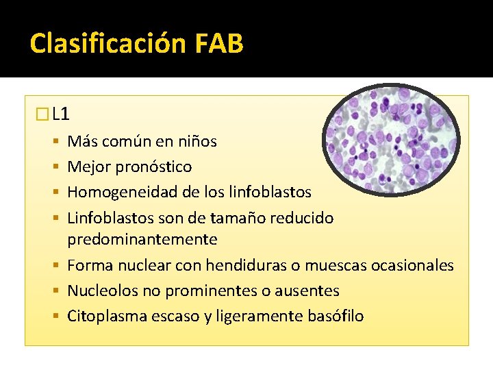 Clasificación FAB �L 1 Más común en niños Mejor pronóstico Homogeneidad de los linfoblastos