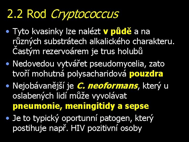 2. 2 Rod Cryptococcus • Tyto kvasinky lze nalézt v půdě a na různých