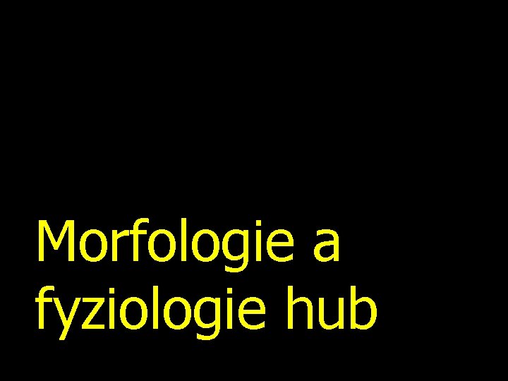 Morfologie a fyziologie hub 