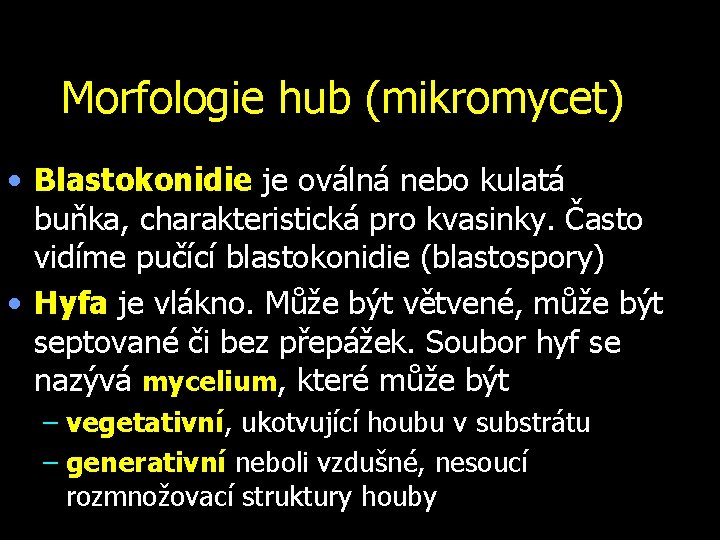 Morfologie hub (mikromycet) • Blastokonidie je oválná nebo kulatá buňka, charakteristická pro kvasinky. Často