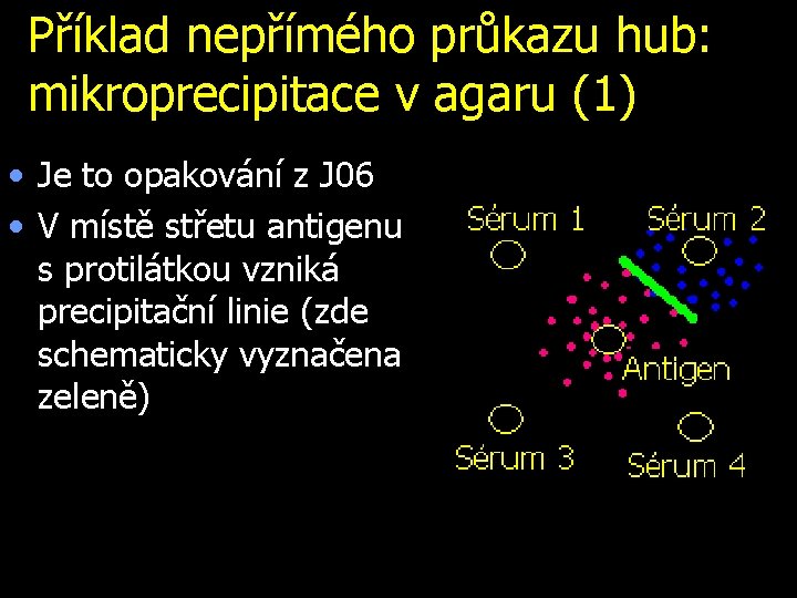 Příklad nepřímého průkazu hub: mikroprecipitace v agaru (1) • Je to opakování z J