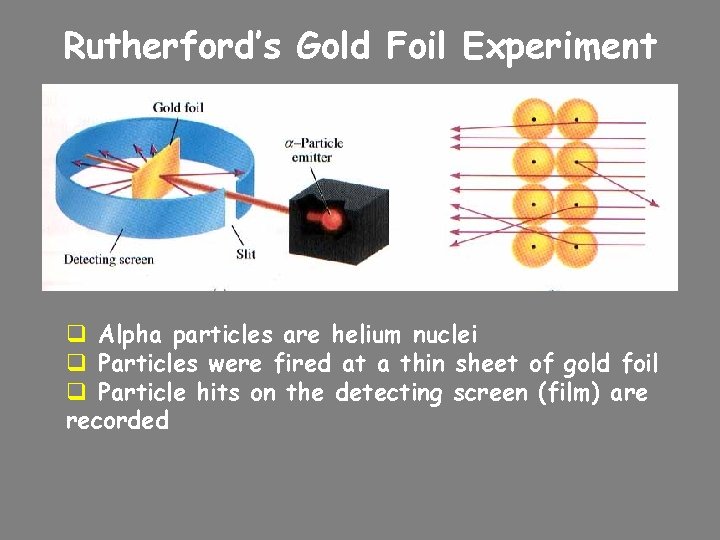 Rutherford’s Gold Foil Experiment q Alpha particles are helium nuclei q Particles were fired