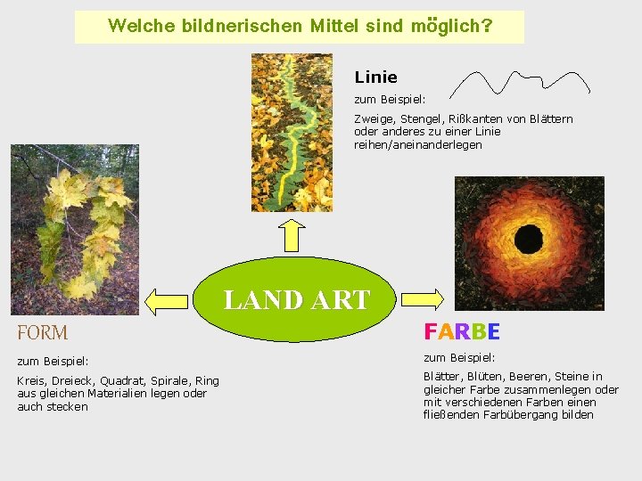 Welche bildnerischen Mittel sind möglich? Linie zum Beispiel: Zweige, Stengel, Rißkanten von Blättern oder