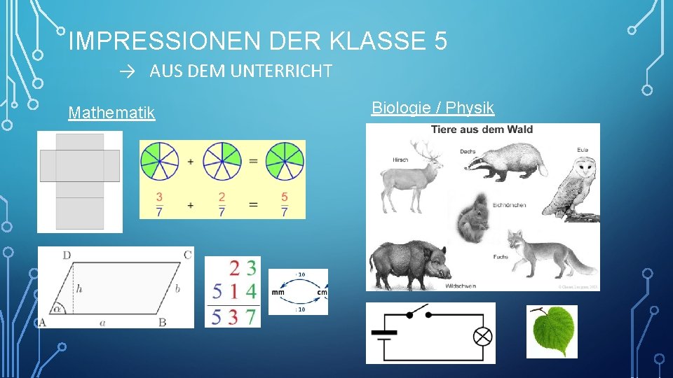 IMPRESSIONEN DER KLASSE 5 → AUS DEM UNTERRICHT Mathematik Biologie / Physik 