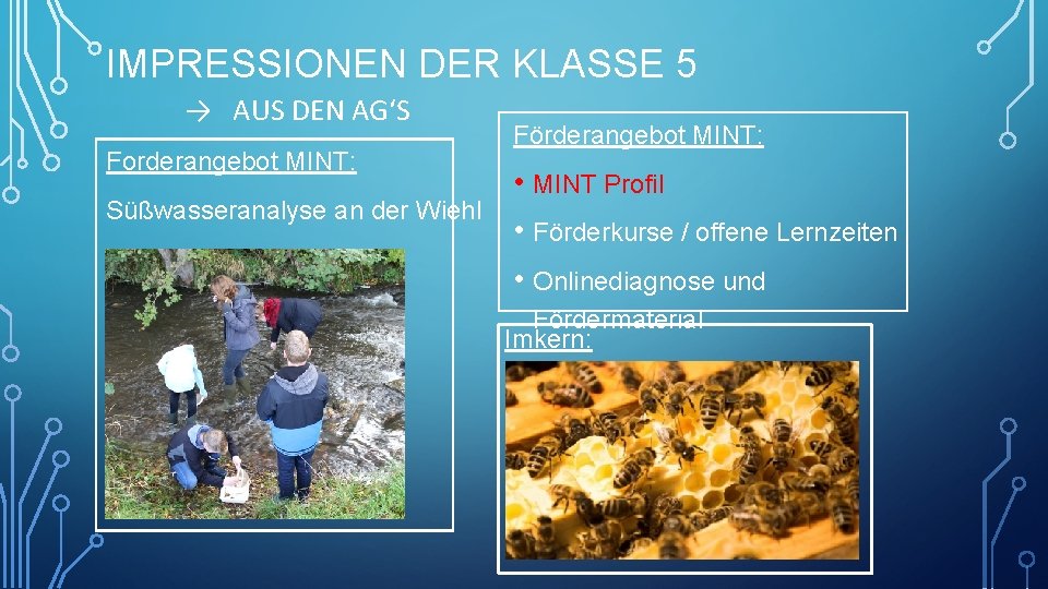 IMPRESSIONEN DER KLASSE 5 → AUS DEN AG‘S Forderangebot MINT: Süßwasseranalyse an der Wiehl