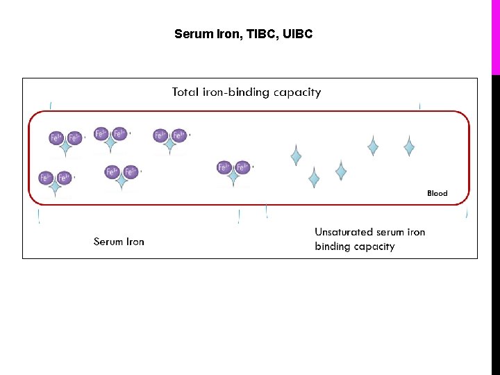 Serum Iron, TIBC, UIBC 