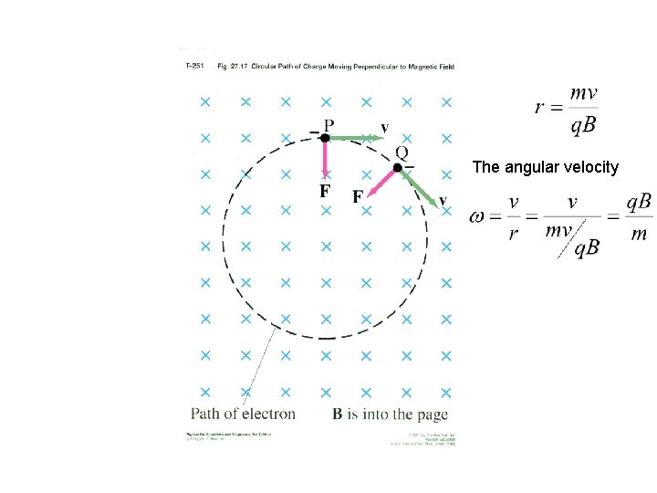 The angular velocity 