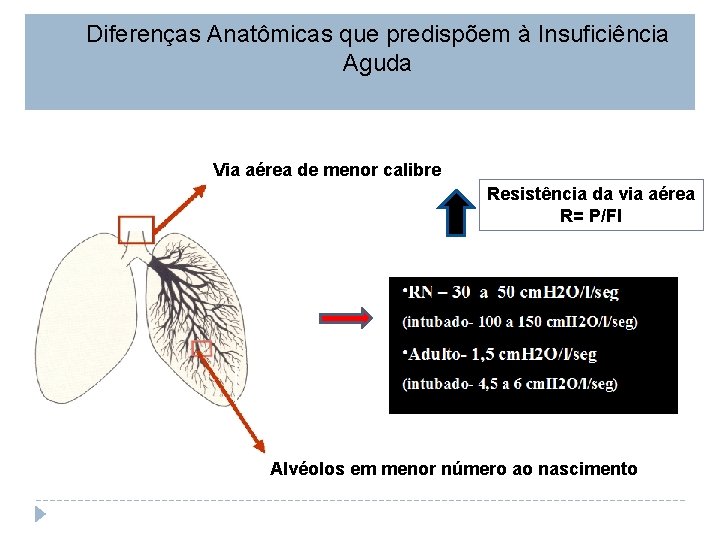 Diferenças Anatômicas que predispõem à Insuficiência Aguda Via aérea de menor calibre Resistência da