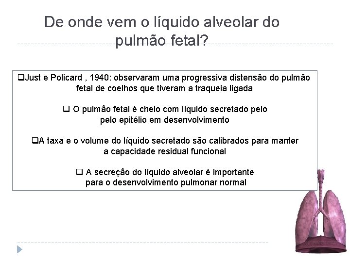 De onde vem o líquido alveolar do pulmão fetal? q. Just e Policard ,