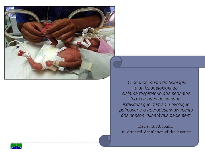“O conhecimento da fisiologia e da fisiopatologia do sistema respiratório dos neonatos forma a