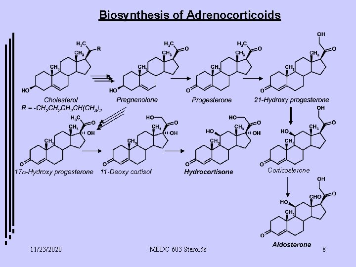 Biosynthesis of Adrenocorticoids Corticosterone 11/23/2020 MEDC 603 Steroids 8 