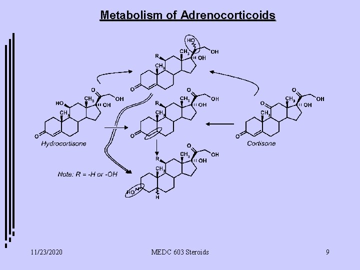 Metabolism of Adrenocorticoids 11/23/2020 MEDC 603 Steroids 9 