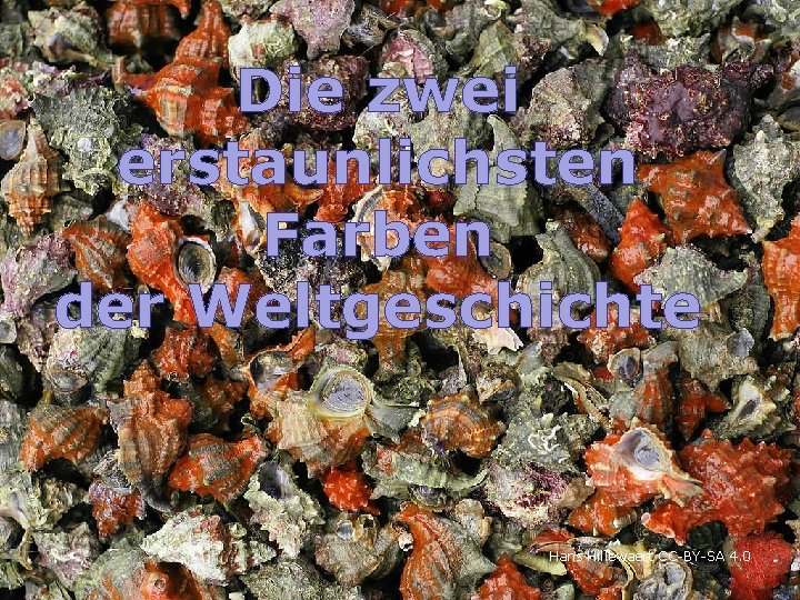 Die zwei erstaunlichsten Farben der Weltgeschichte Hans Hillewaert CC-BY-SA 4. 0 