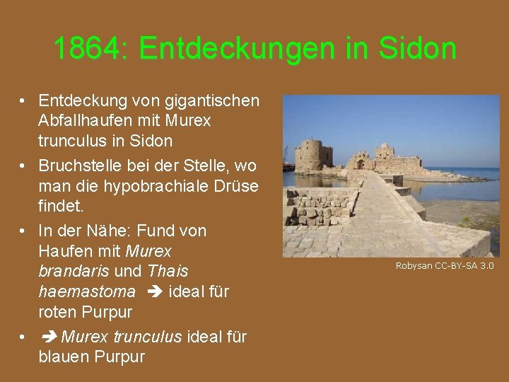 1864: Entdeckungen in Sidon • Entdeckung von gigantischen Abfallhaufen mit Murex trunculus in Sidon