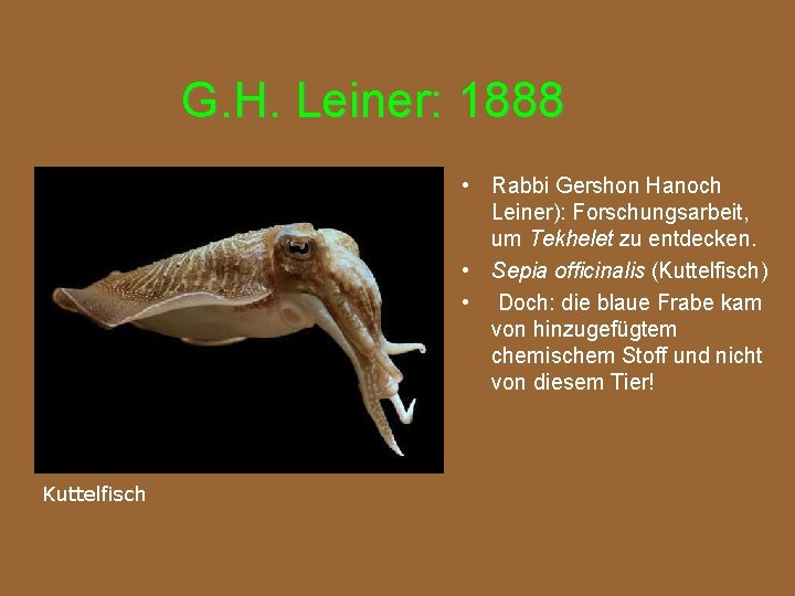 G. H. Leiner: 1888 • Rabbi Gershon Hanoch Leiner): Forschungsarbeit, um Tekhelet zu entdecken.