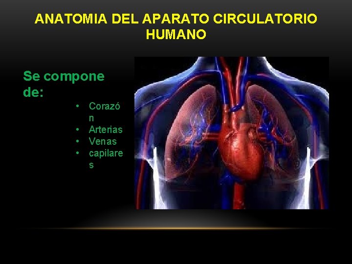 ANATOMIA DEL APARATO CIRCULATORIO HUMANO Se compone de: • Corazó n • Arterias •