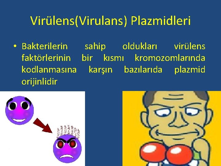 Virülens(Virulans) Plazmidleri • Bakterilerin sahip oldukları virülens faktörlerinin bir kısmı kromozomlarında kodlanmasına karşın bazılarıda