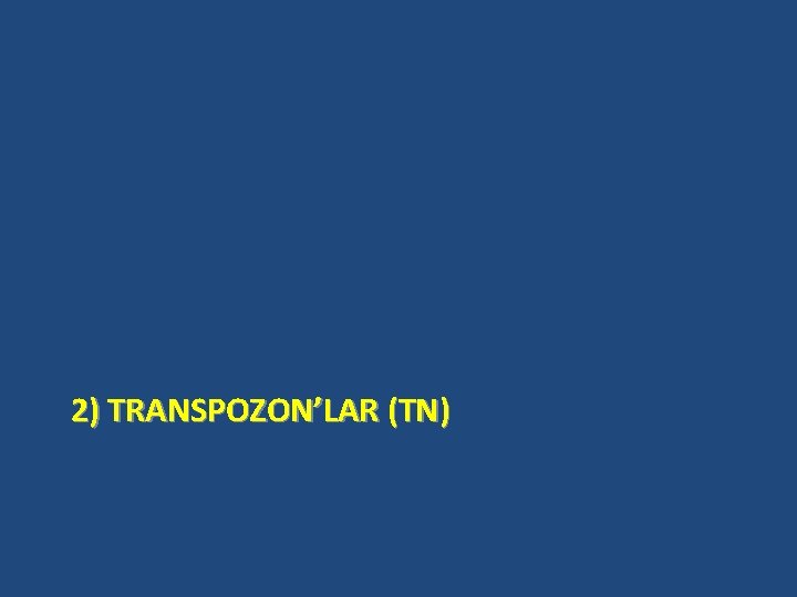 2) TRANSPOZON’LAR (TN) 