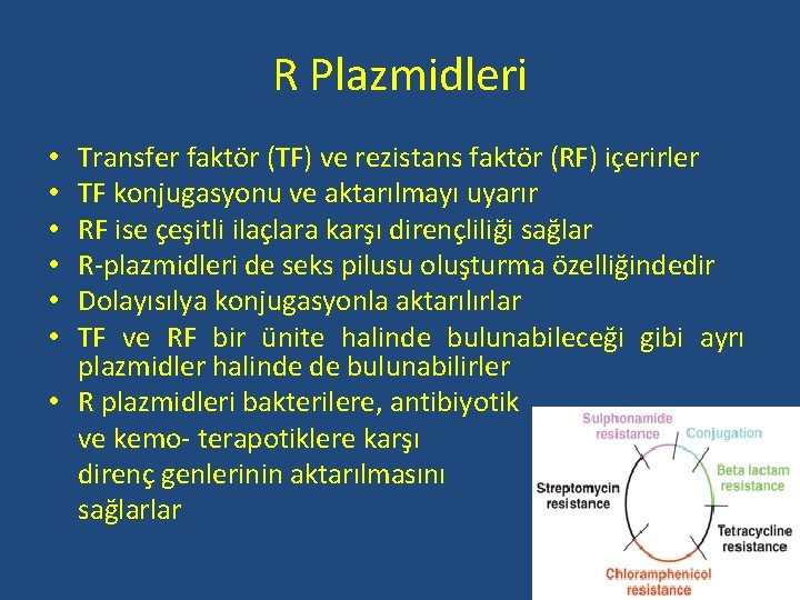 R Plazmidleri Transfer faktör (TF) ve rezistans faktör (RF) içerirler TF konjugasyonu ve aktarılmayı