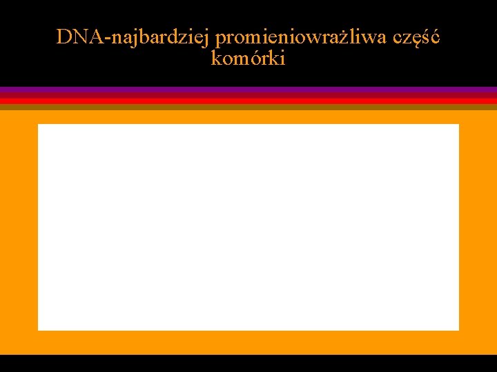 DNA-najbardziej promieniowrażliwa część komórki 