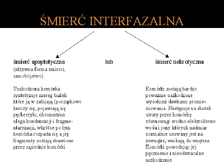 ŚMIERĆ INTERFAZALNA 