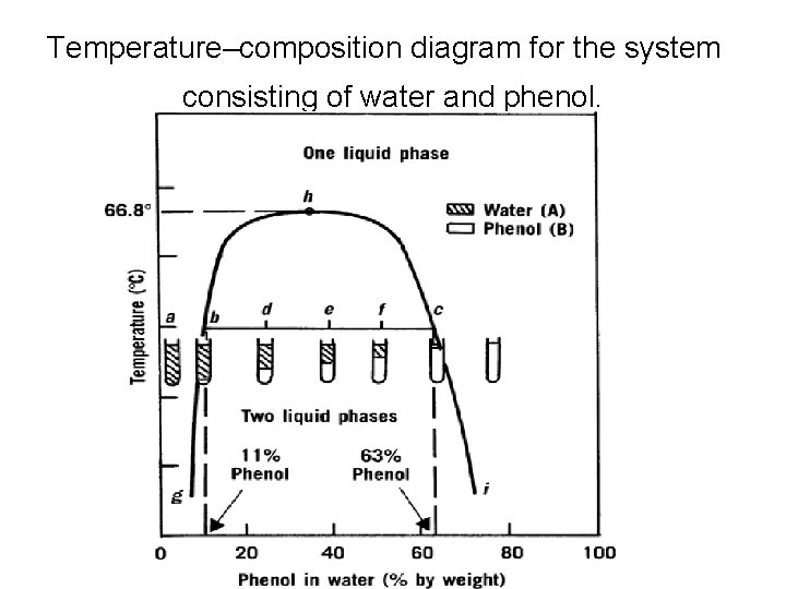 Temperature–composition diagram for the system consisting of water and phenol. 