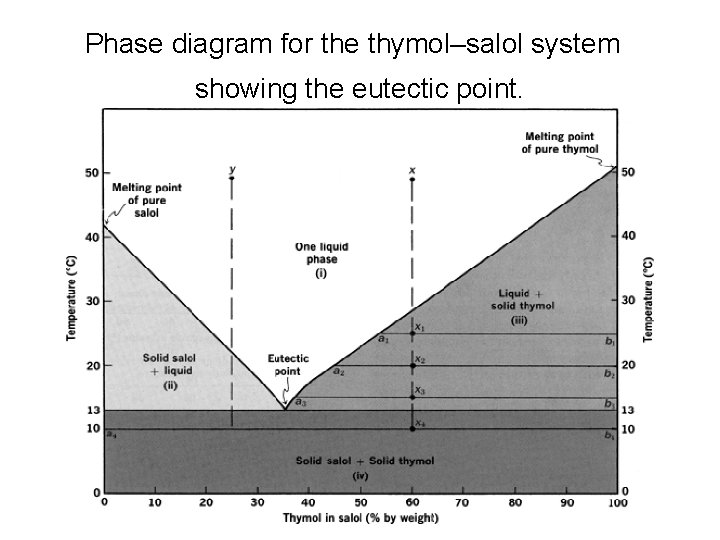 Phase diagram for the thymol–salol system showing the eutectic point. 
