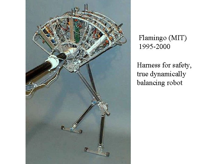 Flamingo (MIT) 1995 -2000 Harness for safety, true dynamically balancing robot 