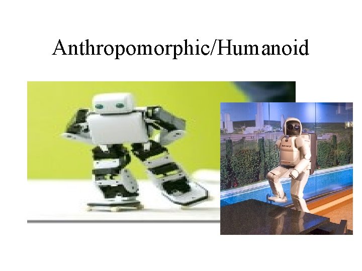 Anthropomorphic/Humanoid 