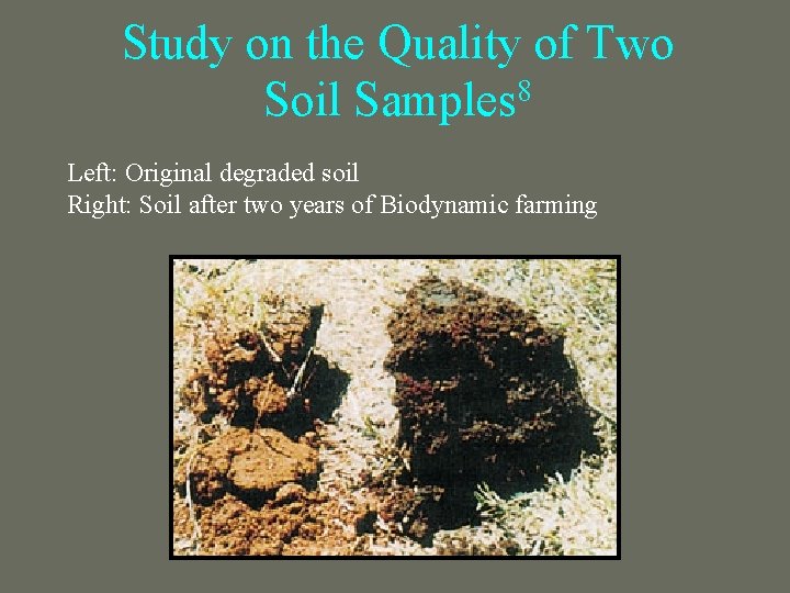 Study on the Quality of Two Soil Samples 8 Left: Original degraded soil Right: