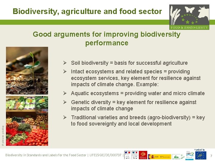 Biodiversity, agriculture and food sector Good arguments for improving biodiversity performance Ø Soil biodiversity