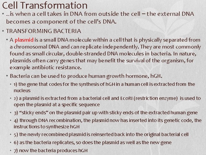 Cell Transformation • …is when a cell takes in DNA from outside the cell