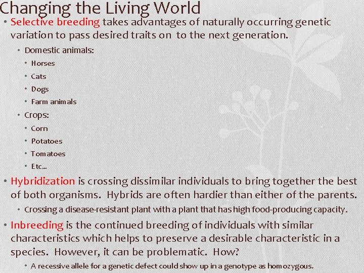 Changing the Living World • Selective breeding takes advantages of naturally occurring genetic variation