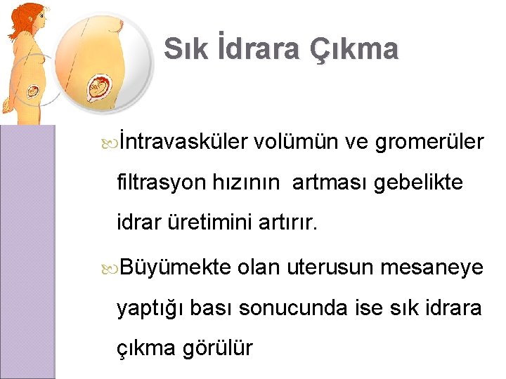 Sık İdrara Çıkma İntravasküler volümün ve gromerüler filtrasyon hızının artması gebelikte idrar üretimini artırır.