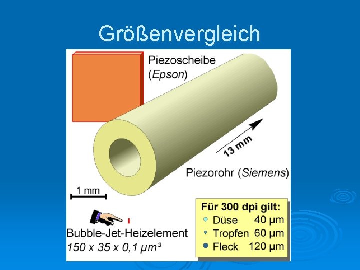 Größenvergleich 