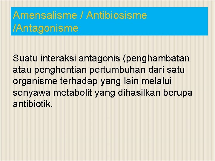 Amensalisme / Antibiosisme /Antagonisme Suatu interaksi antagonis (penghambatan atau penghentian pertumbuhan dari satu organisme