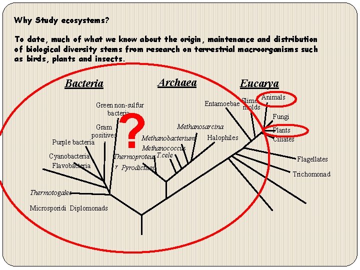 Why Study ecosystems? To date, much of what we know about the origin, maintenance