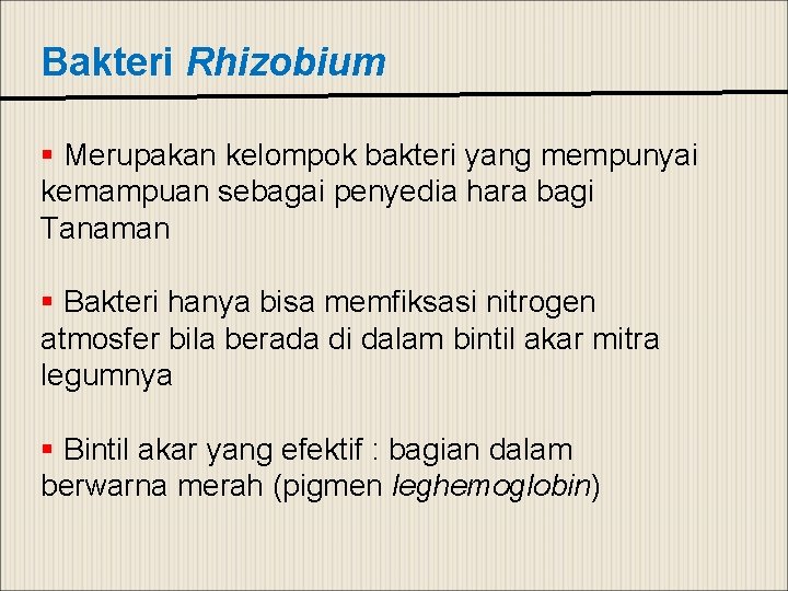 Bakteri Rhizobium § Merupakan kelompok bakteri yang mempunyai kemampuan sebagai penyedia hara bagi Tanaman