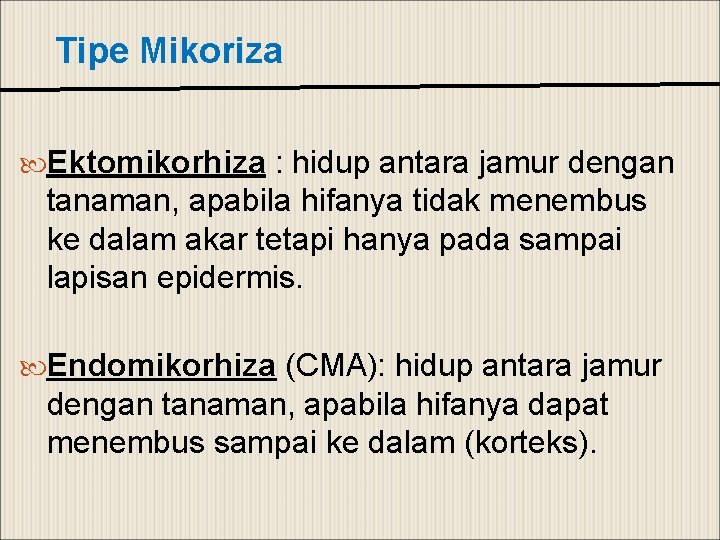 Tipe Mikoriza Ektomikorhiza : hidup antara jamur dengan tanaman, apabila hifanya tidak menembus ke