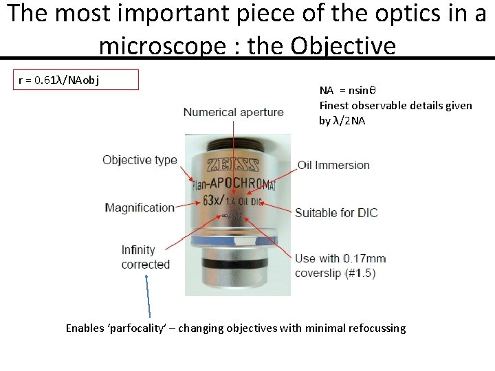 The most important piece of the optics in a microscope : the Objective r