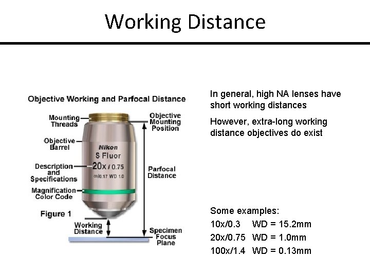 Working Distance In general, high NA lenses have short working distances However, extra-long working